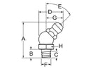 6MM METRIC 45° GREASE ZERK - BAG 10